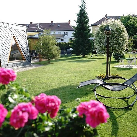 Pension Nr. 13 - B&B Pirna Luaran gambar