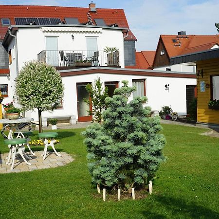 Pension Nr. 13 - B&B Pirna Luaran gambar